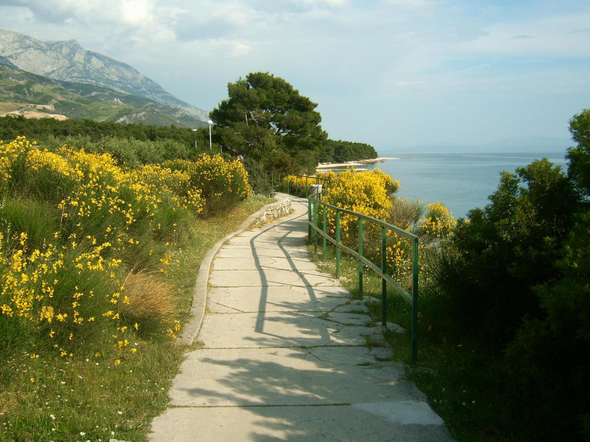 Apartment Tri Sunca Baska Voda Luaran gambar